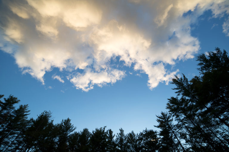 Looking Up at Summer Sky