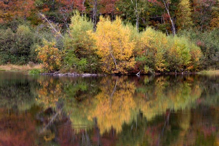 Still Autumn Reflections