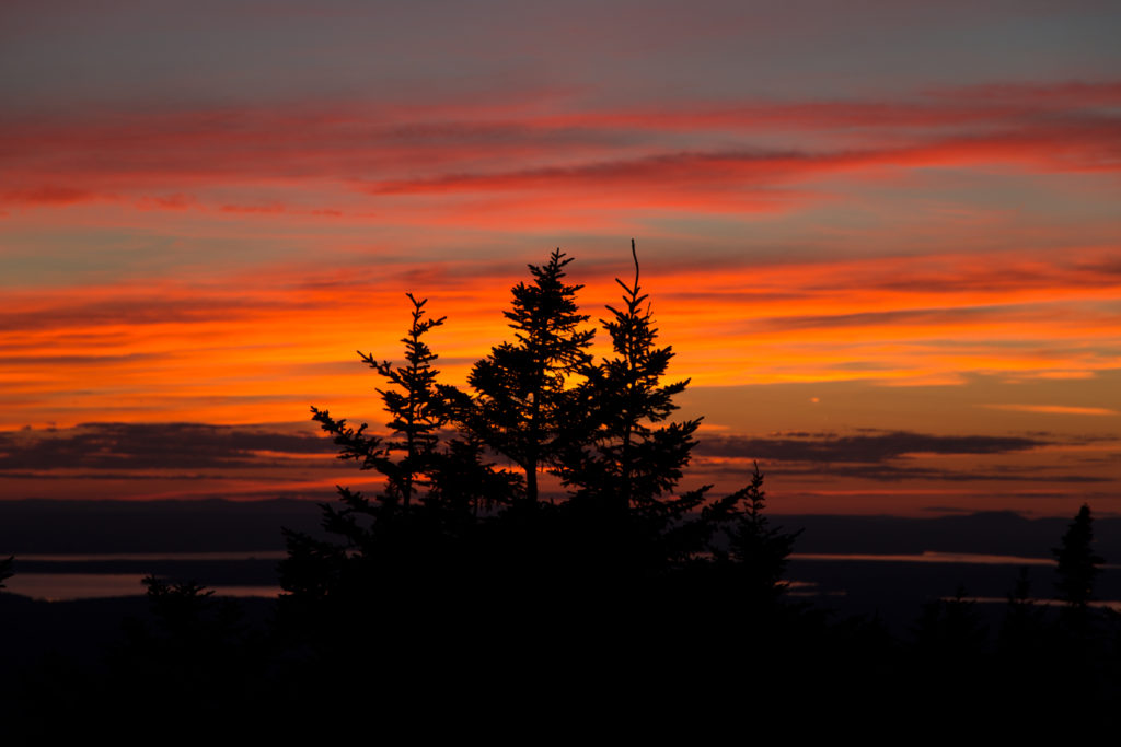 Vibrant Striped Sunset with Tree Silhouettes