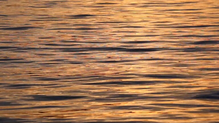 Golden Water Ripples at Sunset